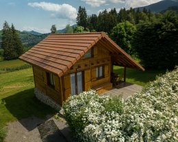 Chalet proximité Prapoutel Les 7 Laux