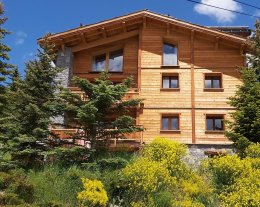 CHALET 18 PERSONNES RETOUR SKI AU PIED PISCINE JACUZZI BILLARD SALLE CINEMA VUE PISTES ET MONTAGNE 