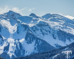 Chalet Les Cerfs