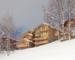 Chalet Le Grand Tetras