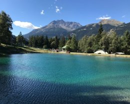 Les arolles