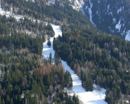 LA MARMOTTE LA MARMOTTE