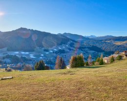 PERCE NEIGE
