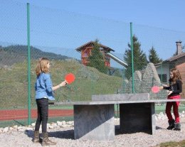 CHALET 8 pers, 2 salles de bain   Bar à crèpes, piscine, spa, bowling, ping pong, tennis, WIFI, aire de jeux géante, trampoline, baby foot, jeux vidéos,....