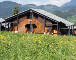 LES PETITS TETRAS du CERNIX - CREST VOLAND - COHENNOZ - SAISIES - Les ARAVIS - SAVOIE Mont Blanc