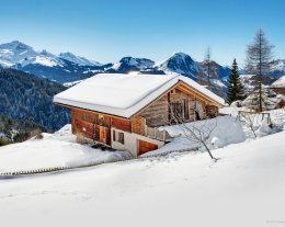Chalet alpin familial - sauna et jardin, proche pistes