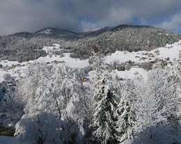 Chalet Génépi