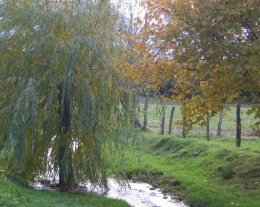 Le Labrit 