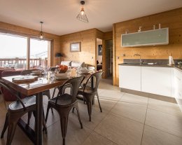 Appartement chaleureux sur les pistes