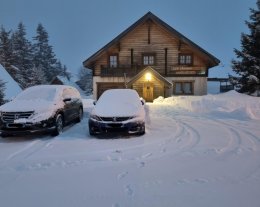 LES CHAMOIS LES CHAMOIS