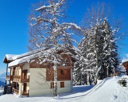  - Les Oursons - Résidence Chalet de Standing au pied des pistes 