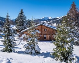 Les Gets - chalet alpin pour 8 – jacuzzi, sauna et jardin