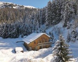 Luxueux 4* Sauna Jacuzzi près des pistes espace privé