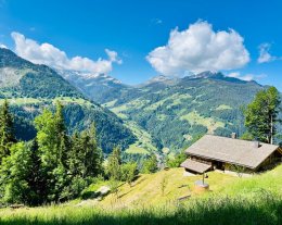 Chalet en Beaufortain