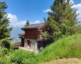 Chalet privatif pour 10 personnes aux Coches - Paradiski Chalet privatif pour 10 personnes aux Coches - Paradiski