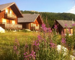 Grand chalet en bois avec vue splendide