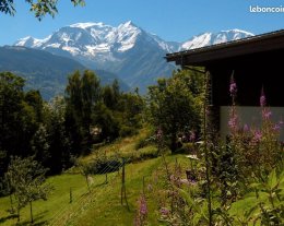 Chalet familial face au Mt Blanc, jacuzzi