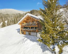 Profitez du bain nordique de ce logement alpin pour 7