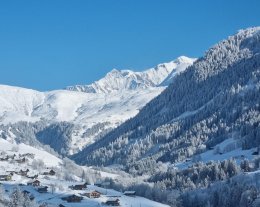 Face au Mont Blanc - Sauna&Spa&Ciné