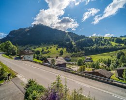 Chalet Génépi / 3* / 9 pers / Proche des pistes