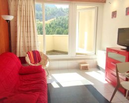 Studio très lumineux plein sud à côté du télécabine