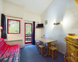Studio mezzanine à 50m des pistes