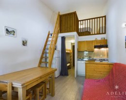 Studio mezzanine rénové au pied des pistes Studio mezzanine rénové au pied des pistes