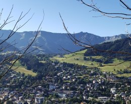 Cosy Apartement dans une Ferme authentique sur les  hauteurs de Megeve