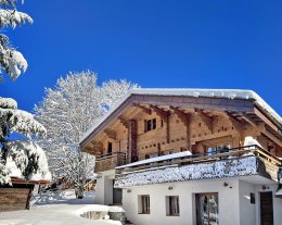 Le refuge ski in/out & SPA 