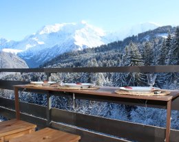 LE CRISTAL appartement avec vue