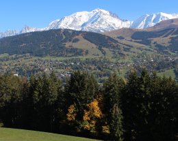 Insolite - Alpage face au Mont Blanc