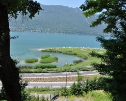 le coin du lac