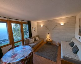 Studio ski au pied - les Coches