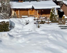 Chalet Bois, centre station, pistes P2000 7mn à pied, FIBRE
