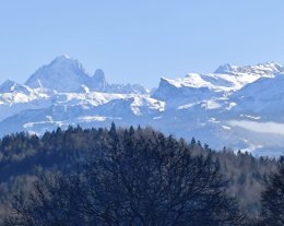 Chalet ferme vers le Mont