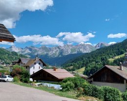 Les Gentianes