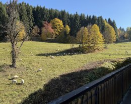 L'Hermine, 3 chambres, 80m2 - 7 personnes