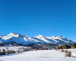 LE COEUR DU LOUP LE COEUR DU LOUP