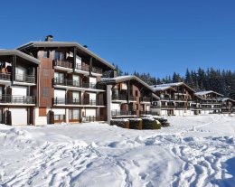 LES CHARDONS LES CHARDONS