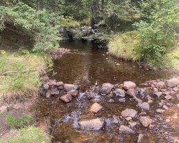 Le Refuch
