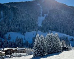 Luxury chalet at the foot of the Dolomites