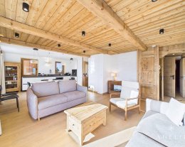 EMPLACEMENT SKIS AUX PIEDS POUR CE SUPERBE APPARTEMENT DE 80M²
