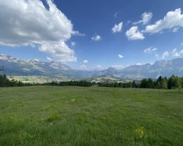 Les mélèzes des chaumattes