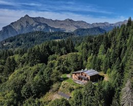 Rare : Chalet isolé vue imprenable Mont blanc & Aravis - Entouré de forêt – 6/8 pers – Petit Jacuzzi