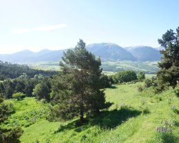 "Vue d'en haut"