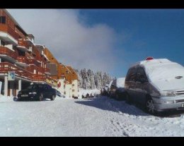 LES GENTIANES 2 LES GENTIANES 2