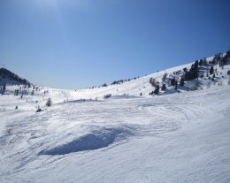 CHALET 3*  "Le Chardon Bleu" Montclar-Alpes de Hautes Provence