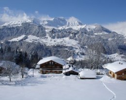 Les Chamois - Piscine chauffée (été) piste de luge (hiver)