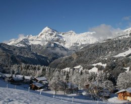 Les Bouquetins - Piscine chauffée (en été) et Piste de luge (hiver)