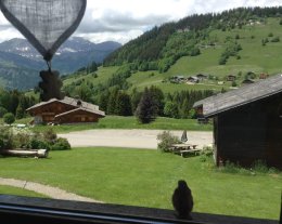 chalets ANCENAY